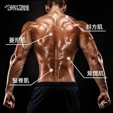 講下背肌先~ | LIHKG 討論區