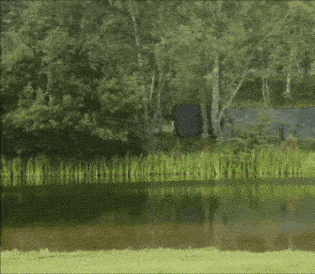 https://na.cx/i/7VS5s2p.gif