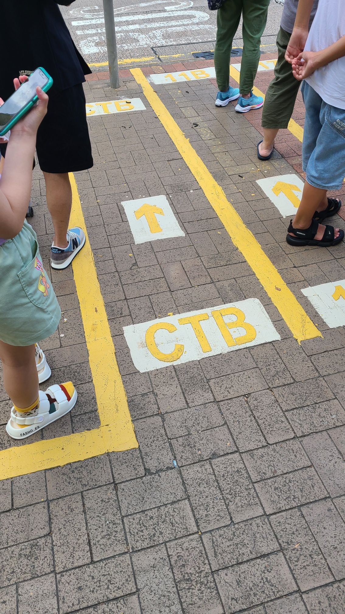 踏入的意思是什么意思
