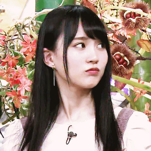 乃木坂46討論區 259 請支持好女仔們 Lihkg 討論區