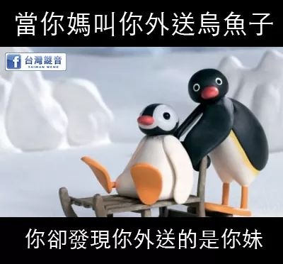 企鵝腳 當烏魚子賣 業者火大聲明 沒企鵝受傷害 Lihkg 討論區