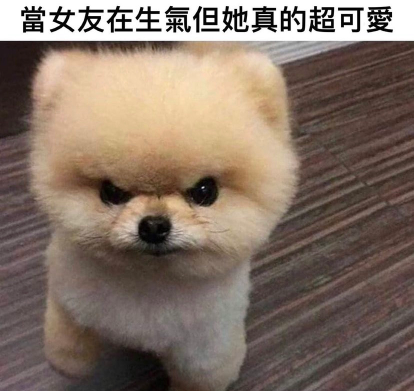 一人一個睇完即刻會笑嘅memes | LIHKG 討論區
