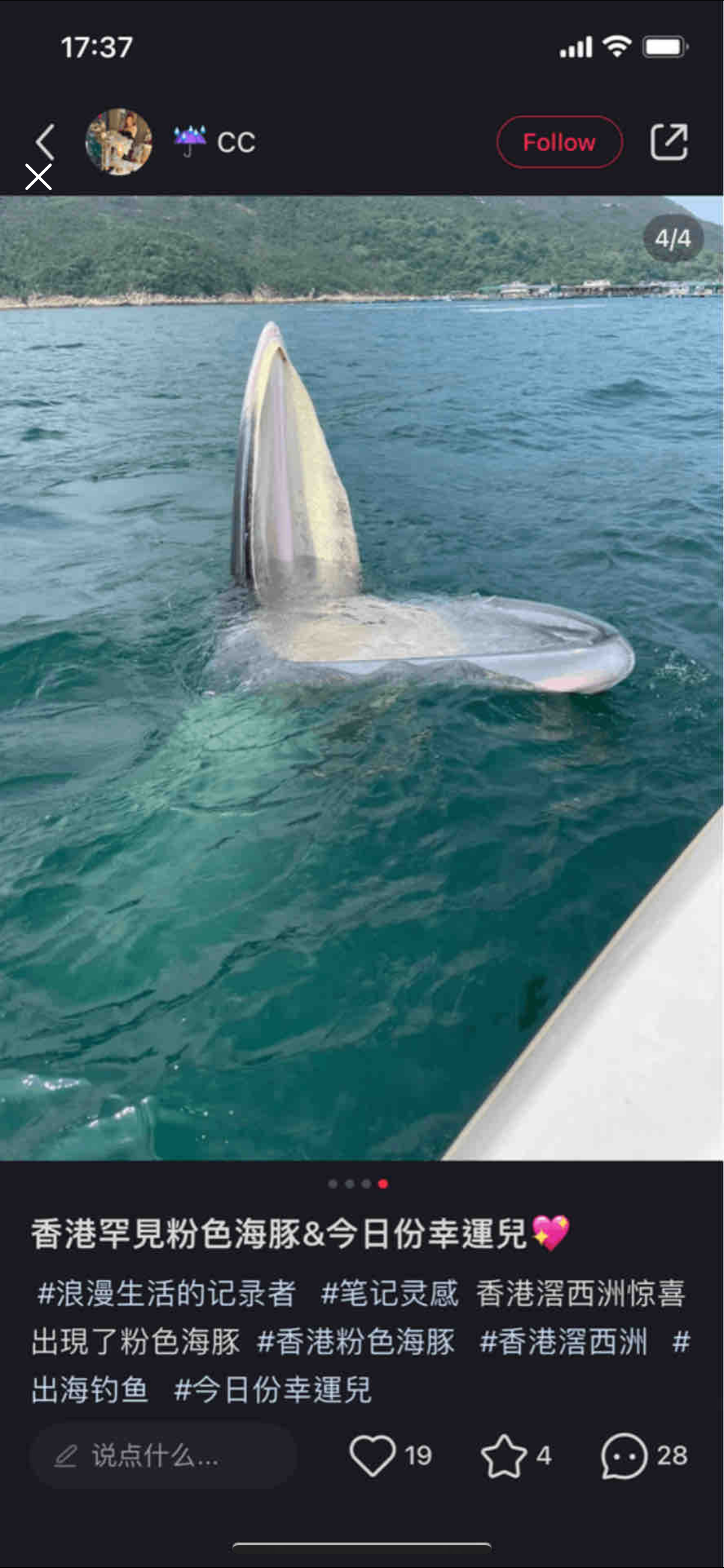 鯨魚已死， __ __ __ __ ！ | LIHKG 討論區