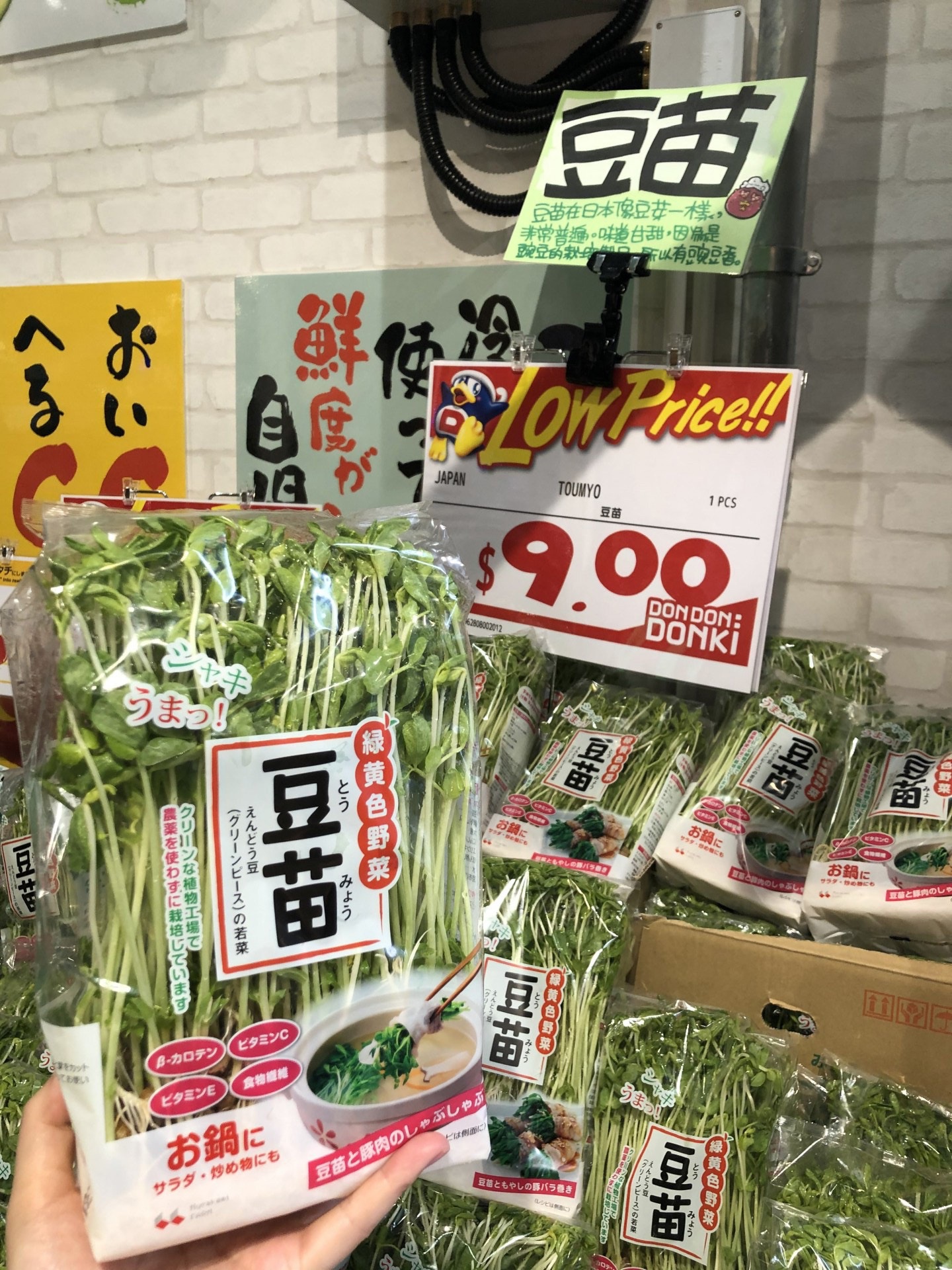 屋企種野食 Lihkg 討論區