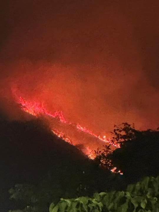 突發） 大埔八仙嶺發生山火兩條20米火龍染紅夜空| LIHKG 討論區