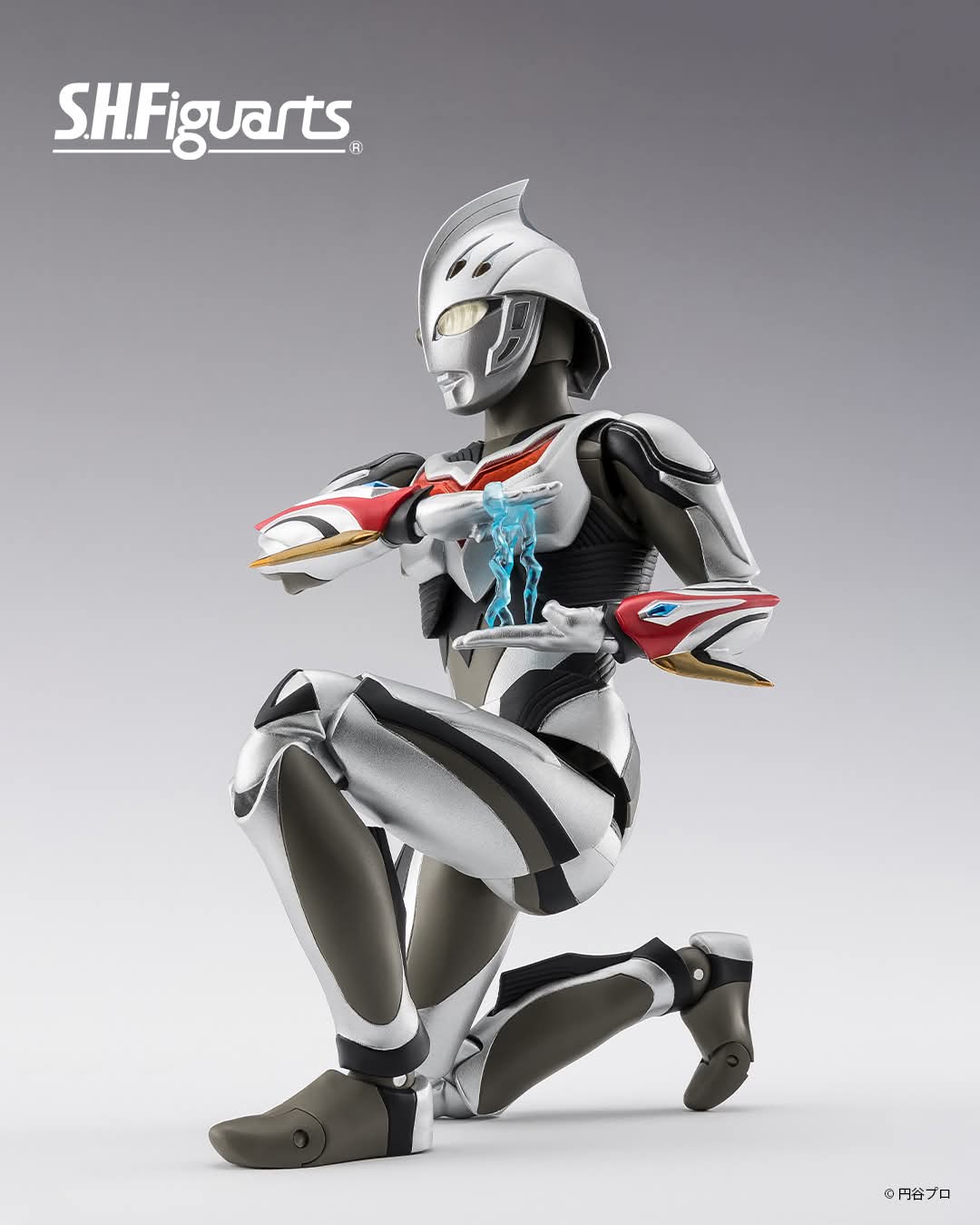 Hot Toys 1/6 1/4 Figures 討論區 692 一年一度動物節又黎了 | LIHKG 討論區