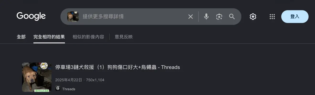 打鼓嶺狗咬死人｜死者Jojo身世曝光 做狗義工愛幫流浪狗 朋友：希望佢安息 | LIHKG 討論區