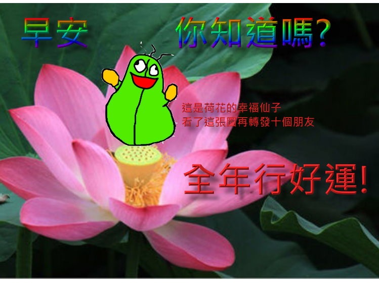 https://na.cx/i/Zh32s1.jpg