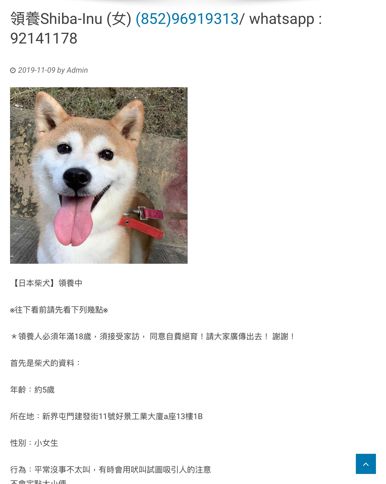 一句講晒領養定買好| LIHKG 討論區