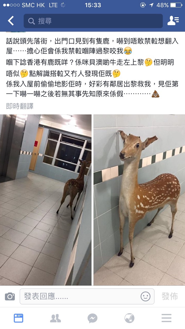 有隻鹿等𨋢 我應唔應該幫佢 | LIHKG 討論區