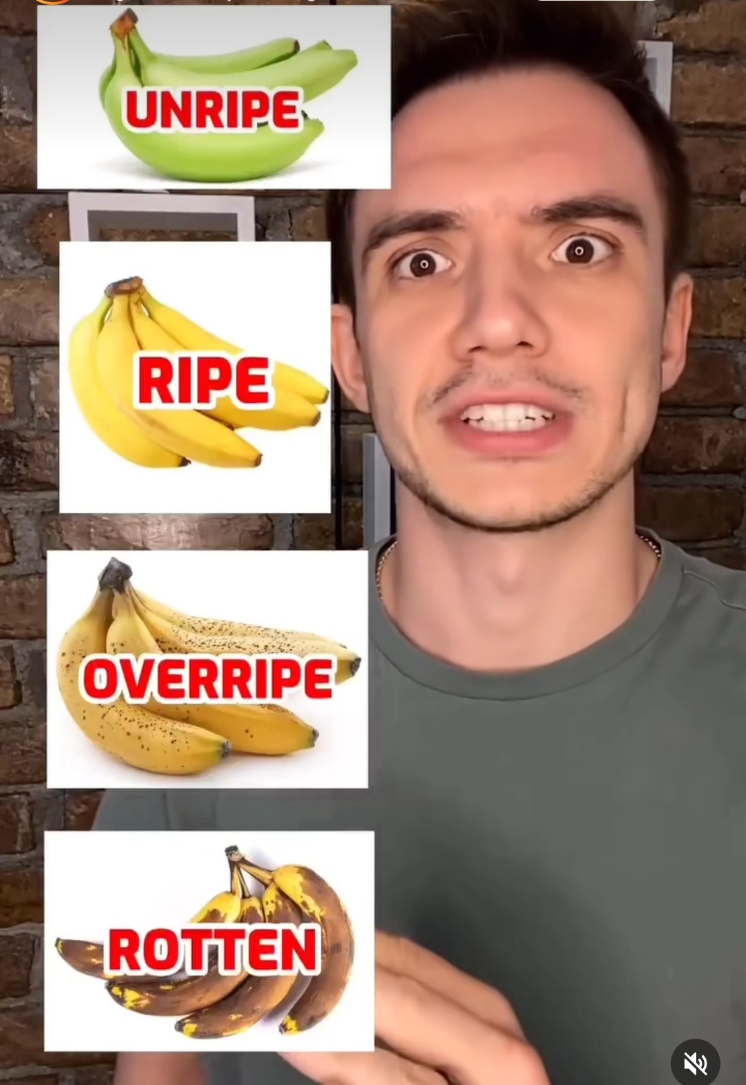 香港西施犬協會有冇地址？ LIHKG 討論區