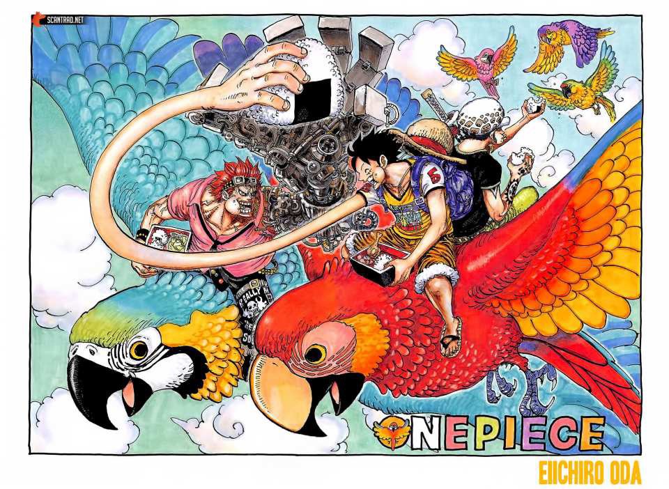 集中討論 Onepiece 海賊王ワンピース985漫畫中文新鬼島計劃 Lihkg 討論區