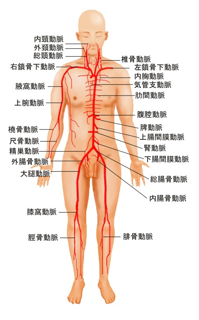 突發警員被割頸 Lihkg 討論區