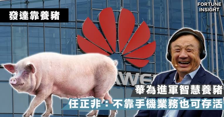 (印度佬撚狗)印度促中國手機商 任命印度人擔任CEO等要職 官媒斥霸凌行為 「變相收購中企」 | LIHKG 討論區