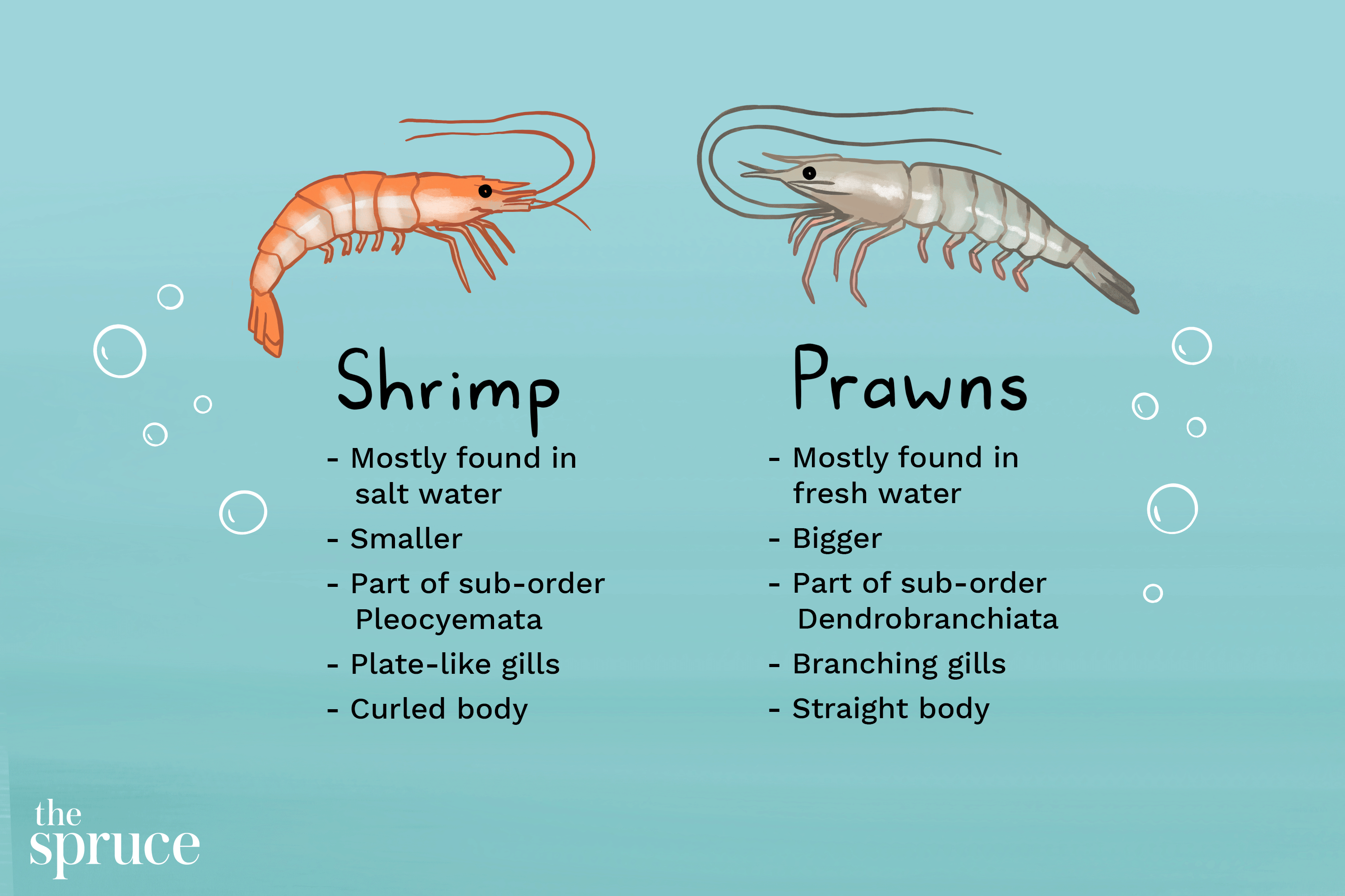 Shrimp Prawn LIHKG 