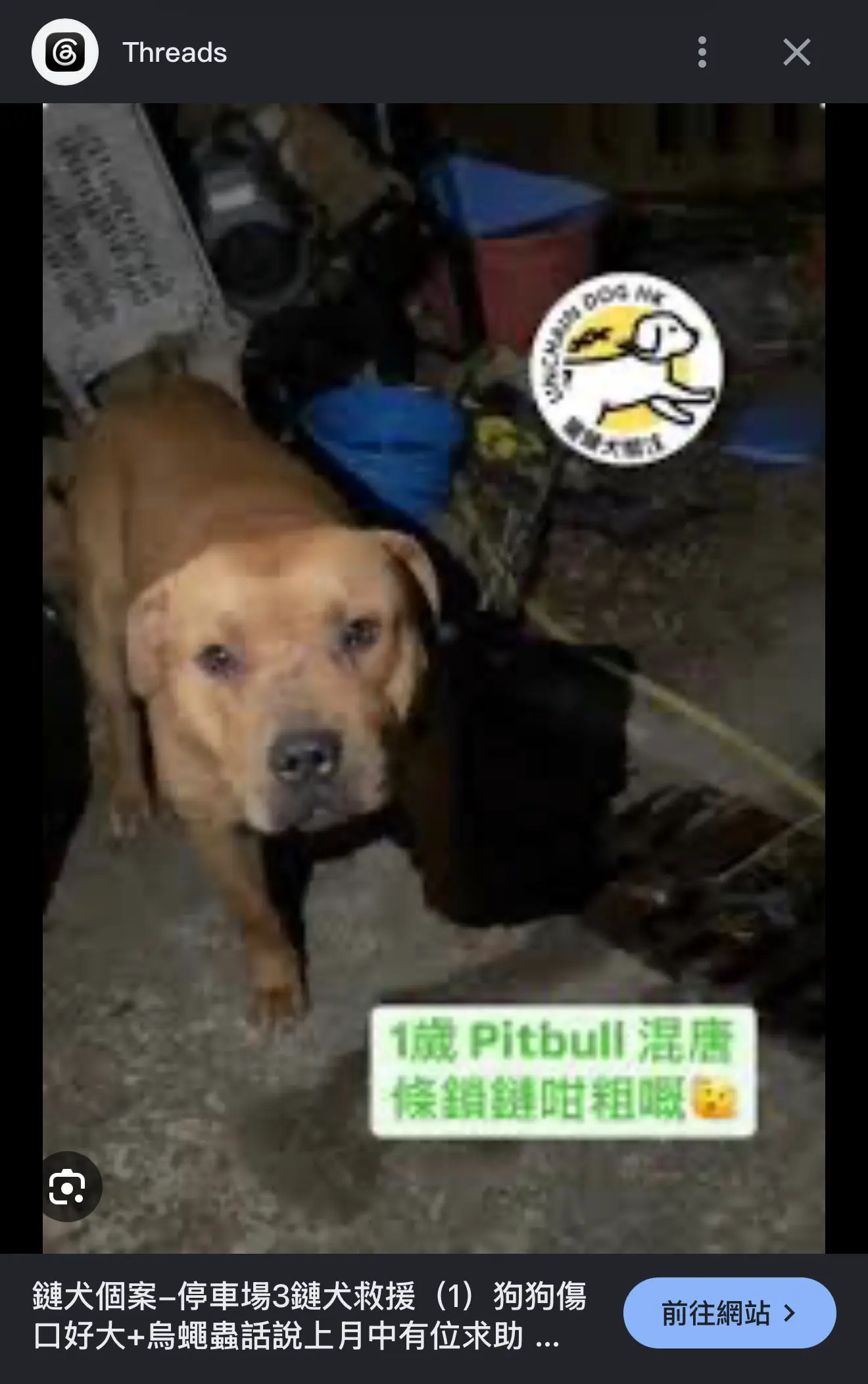 打鼓嶺狗咬死人｜死者Jojo身世曝光 做狗義工愛幫流浪狗 朋友：希望佢安息 | LIHKG 討論區