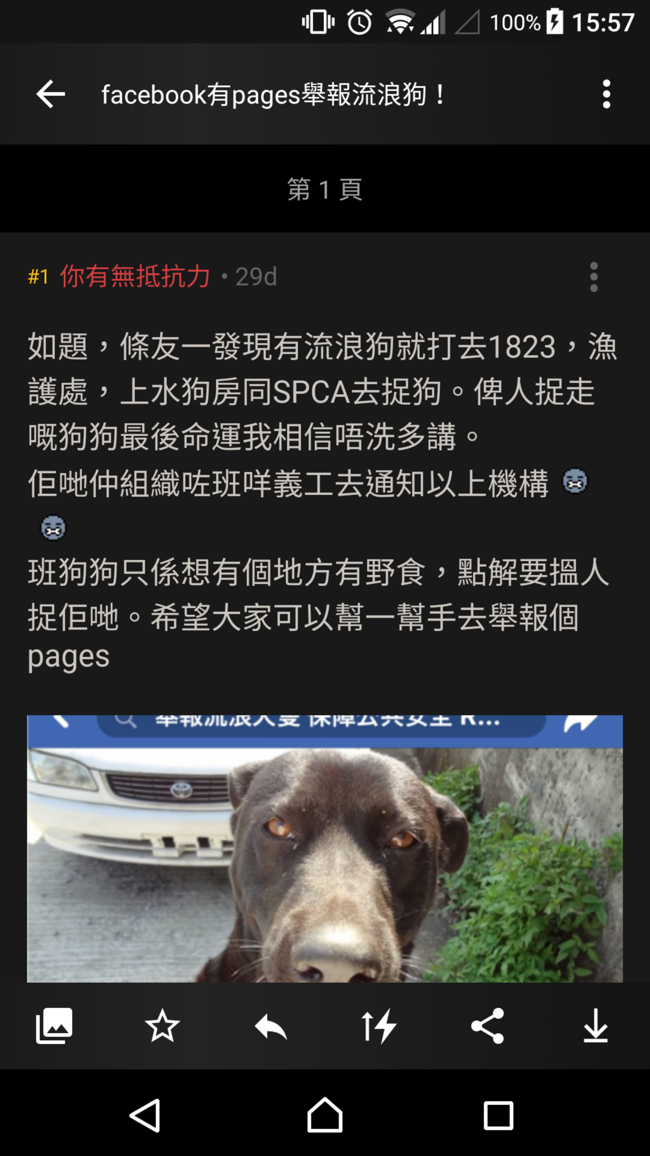 其實Facebook嘅舉報/投訴機制係咪廢? | LIHKG 討論區, image size:2160x3840