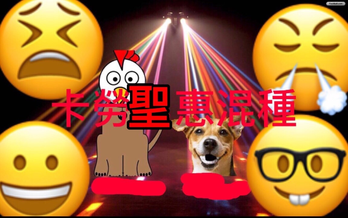 珩仔個老母擘大個閪等人𨳒 | LIHKG 討論區